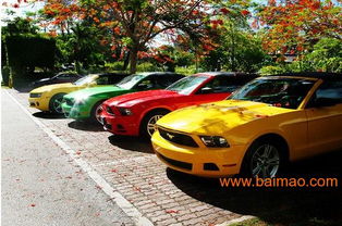 東營租車 東營汽車租賃 東營租車服務 東營租車公司,東營租車 東營汽車租賃 東營租車服務 東營租車公司生產(chǎn)廠家,東營租車 東營汽車租賃 東營租車服務 東營租車公司價格